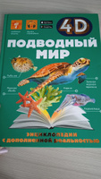 Подводный мир | Спектор Анна Артуровна, Ликсо Вячеслав Владимирович #6, Светлана З.