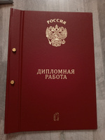 Папка "Дипломная работа" с 2-мя отверстиями, бордовый #4, Елизавета Р.