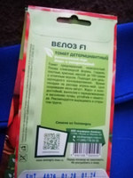 Семена томата детерминантного Велоз F1 SEMINIS, 3 пакета, (5 семян в одном пакете), Голландия #56, Римма И.