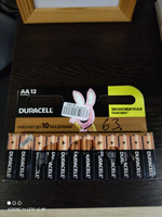 Duracell Батарейка AA, Щелочной тип, 1,5 В, 12 шт #101, Андрей Т.