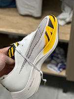 Кроссовки Nike Vaporfly #31, Эрвин В.