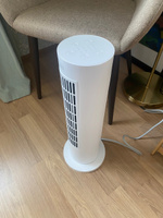 Обогреватель вертикальный Xiaomi Smart Tower Heater Lite (BPTS02DM) #4, Евгения Н.