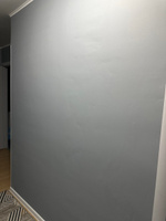 Краска для стен и потолка Dulux Professional Bindo7 'экстрапрочнаяцвет серое окно Ral 7040 9 л #8, Евгения А.