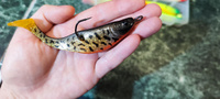 Приманка силиконовая Narval Commander Shad 12cm цв. #040 Onega Burbot / Виброхвост для джига на судака, щуку / Силикон Командер Шед #40, Павел К.