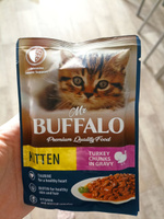 Корм для котят влажный Mr.Buffalo KITTEN паучи индейка на пару в соусе 85 г х 28 шт #40, Николай Ф.