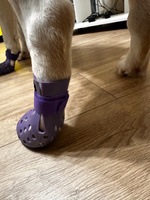 Ботинки-сабо для собак и кошек сандалии Arnydog, кроксы фиолетовые, XL (8,9 см) #8, Елена О.
