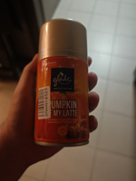 Glade сменный баллон Pumpkin Of my Latte, 269 мл #26, Михаил В.