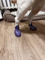 Ботинки-сабо для собак и кошек сандалии Arnydog, кроксы фиолетовые, XL (8,9 см) #7, Елена О.