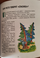 Василий Сухомлинский. Сказки о доброте. Сказки, рассказы. #8, Полина Н.