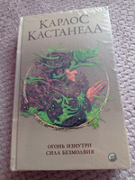 Огонь изнутри. Сила безмолвия | Кастанеда Карлос Сезар Арана #3, Максим С.