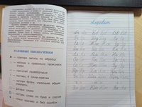 Тренажёр по чистописанию. Переход с узкой строчки на широкую. 2-3 классы НОВЫЙ ФГОС | Жиренко Ольга Егоровна #5, Наталия С.