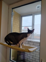 Гамак подвесной лежанка для кошек на окно на мощных присосках/Воздушная лежанка для животных #8, Дмитрий В.