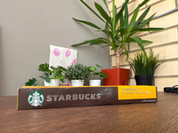 Кофе в капсулах Starbucks Nespresso Capsules Blonde Espresso, Старбакс в капсулах для кофемашины Неспрессо, эспрессо, 12 упаковок по 10 штук #61, Светлана