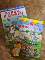 Детские книги для развития ребенка "Первый учебник малыша", учим буквы, читаем по слогам (комплект из 2 пособий) | Гурина Ирина Валерьевна #1, Анастасия П.