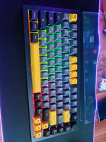 Игровая Клавиатура AKKO 5075B Plus Black&Gold 3 Modes RGB Hot Swap V3 Cream Yellow Switch,ASA profile keycap #15, Владимир С.