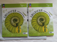 Биология. 6 класс. Базовый уровень. Рабочая тетрадь / Пасечник В.В., Суматохин С.В., Швецов Г.Г., Гапонюк З.Г. / 2023 | Бондарева Т. #1, Ия К.