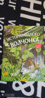 История одного волчонка. Рассказ | Пажетнов Валентин Сергеевич #1, Колтунова Анна Валерьевна