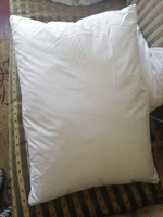 Комплект подушек Ol-Tex Неаполь 2 шт., регулируемые по упругости, 50х70 см. (белый) / Набор из 2х подушек Ол-Текс Неаполь 50 x 70 см. цвет белый #18, Сосе А.