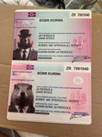 Обложка на паспорт с принтом bobr kurwa мем #5, Елизавета Ш.