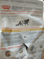 Royal Canin Urinary S/O Корм Сухой для кошек, при заболеваниях мочевыделительной системы 1,5 кг #20, Даша А.