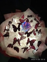 Букет из бабочек светящийся с гирляндой набор для самостоятельной сборки #24, Елена Л.