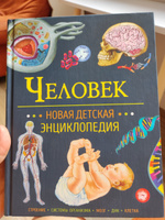 Человек. Новая детская энциклопедия. Энциклопедия школьника | Клюшник Лариса Владимировна #7, Наталия М.