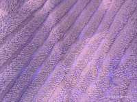 Полотенце-коврик махровое для ног TM TEXTILE 50x70 светло-фиолетовый 101, 1шт.,плотность 700 #65, Лариса