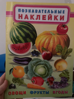 Комплект книг с познавательными наклейками #3, Светлана О.