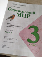 Окружающий мир. 3 класс. Учебник. Часть 1 #4, Ирина С.