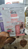 Сухой корм для стерилизованных собак минипород BRIT CARE Mini с индейкой "Adult Sterilised. Metabolic",0.4кг #38, Олег С.