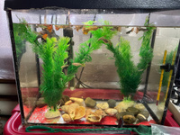 Растения для аквариума искусственные аквариумные водоросли набор 2 шт #16, Харизина В.