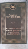 Маленький принц. Южный почтовый. Ночной полет. Планета людей | Сент-Экзюпери Антуан де #8, Дарья П.