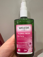 Weleda Розовый дезодорант спрей Wild Rose, 100 мл. #1, Екатерина А.