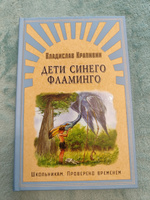 В. Крапивин. Дети синего фламинго. Увлекательное чтение и приключения для детей, мальчиков и девочек, подарок на новый год, день рождения | Крапивин В. #6, Марина А.