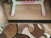 Mealux EVO Комплект парта + стул Трансформер, 77х59х75 см #7, Любовь К.