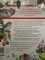 Большой определитель птиц, зверей, насекомых и растений России | Волцит Петр Михайлович, Пескова Ирина Михайловна #7, Ирина