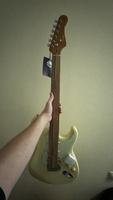 Электрогитара Стратокастер Stratocaster Smiger L-G2_PRO #13, Марк С.