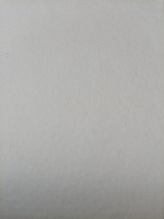 Бумага А4 для акварели Гамма "Студия" 50 листов формата А4, плотность 200г/м2, среднее зерно, акварельная папка для рисования художественная #50, Екатерина О.