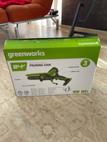 Цепная мини пила аккумуляторная Greenworks 2008207UA, 24V, 10см, c 1хАКБ 2Ач и ЗУ #39, Антон К.