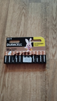 Duracell Внешний аккумулятор Алкалиновые #26, Геннадий Р.