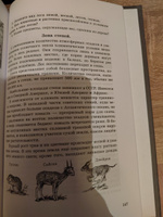 Физическая география. Учебник для 5 класса. 1958 год | Заславский И. #6, Эльмар К.