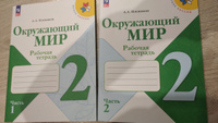 Окружающий мир 2 класс. Рабочая тетрадь Ч. 1,2 (Школа России) (Новый ФГОС) | Плешаков А. #3, Оксана В.