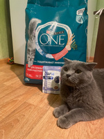 Сухой корм Purina One для кастрированных котов и стерилизованных кошек с лососем, 9,75 кг. #38, Маргарита К.