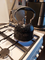 Чайник из нержавеющей стали со свистком Мерали для газовой электрической и индукционной плиты 3,5 л #63, Елена И.
