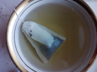 Фильтр пакеты для заваривания чая и трав - пустые одноразовые чайные пакетики с завязками 6х8 см, 500 шт. #7, Манучехр М.