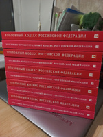 Уголовный Кодекс 2024 + УПК РФ 2024 (по сост. на 25.09.24г.). КОМПЛЕКТ. #5, Елизавета Х.