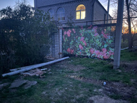 Фотофасад для забора 300х158, декоративная заборная сетка с рисунком для беседки Цветы #29, Валерий З.