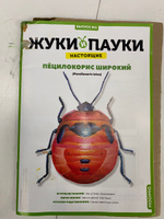 Жуки и пауки, Выпуск №2, Пёцилокорис широкий #21, Алиса Л.