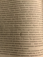 География Китая. Глобализация и динамика политических и социальных изменений в Поднебесной #5, Гульназ Н.