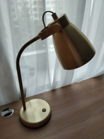 Светильник настольный в стиле Лофт с гибким плафоном Е27 #2, Алла Н.